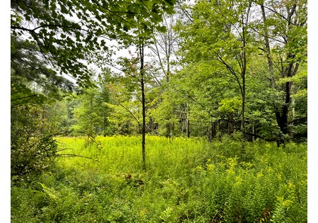Finger lakes NY land for sale