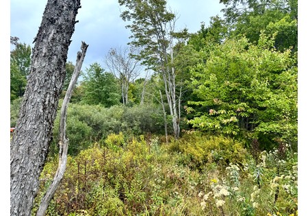 NY hunting land for sale
