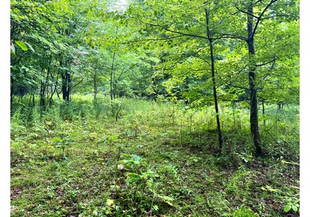 NY Finger Lakes land for sale