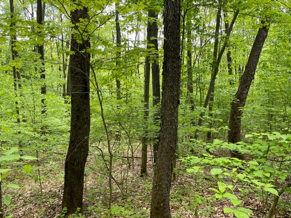 NY land for sale in Harford NY