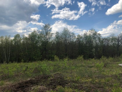 NY hunting land - Adirondacks