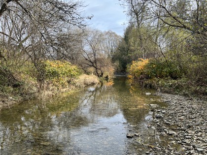 NY waterfront land for sale in Broome County NY