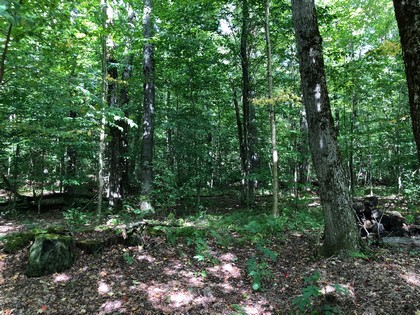 NY hunting camp for sale Annsville NY
