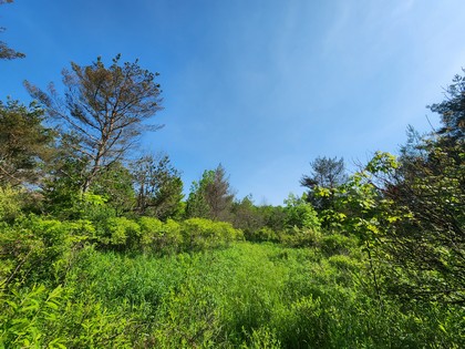 Finger lakes NY land for sale