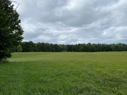 NY land for sale Camden NY