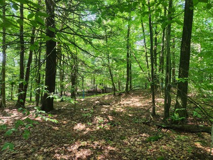 NY land for sale near Oneida Lake