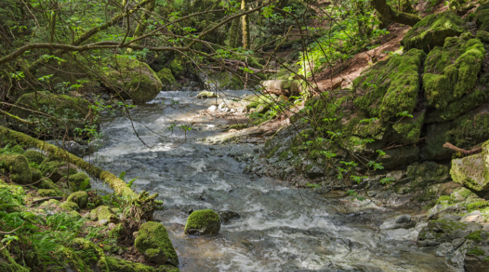 afternoon image at river ridge ny from land and camps