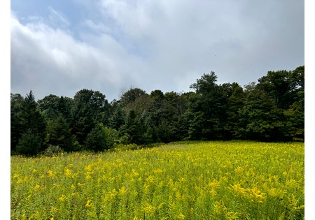Finger Lakes NY land for sale