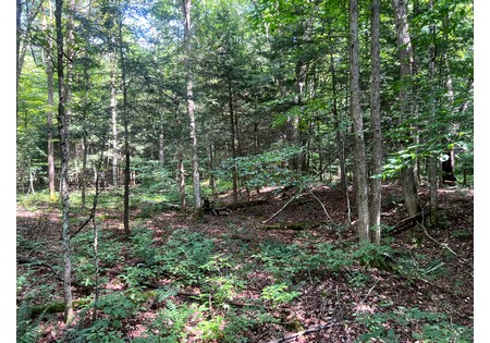 NY land for sale
