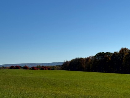 Chenango county NY land for sale