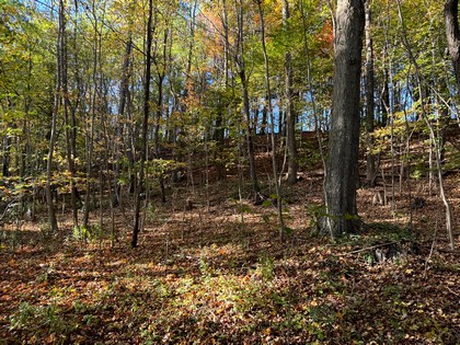 Southern Tier NY land for sale 