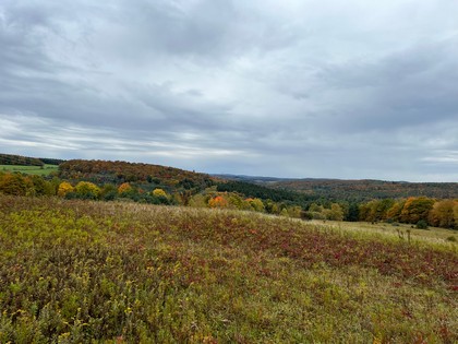 Catskills NY land for sale