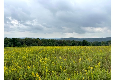Finger Lakes NY land for sale