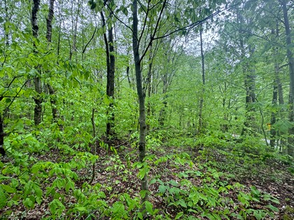 NY camps for sale