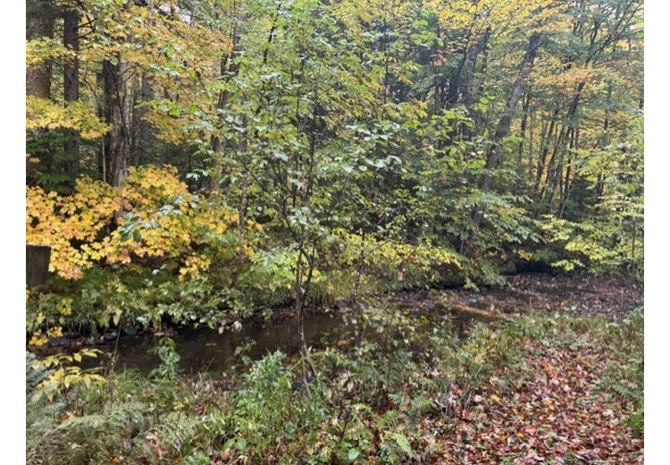 Tug Hill NY land for sale