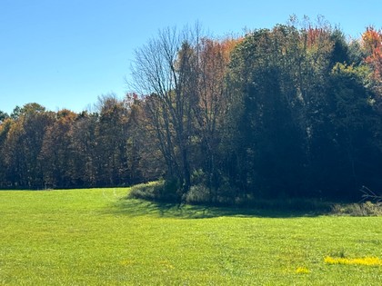NY southern tier hunting land for sale