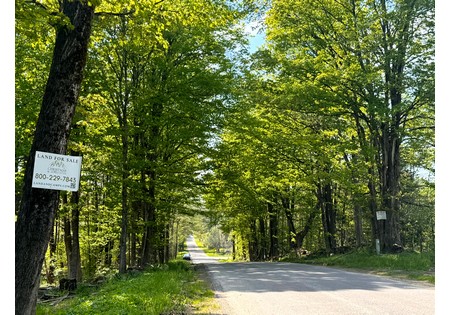 NY land for sale in Tug Hill area