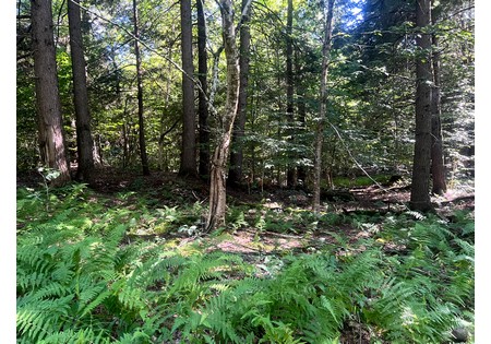 NY hunting land for sale