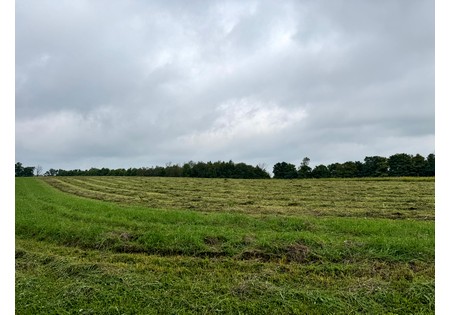 Finger Lakes NY area land for sale