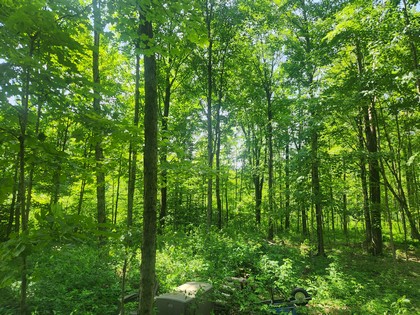 NY camps for sale - Salmon River area