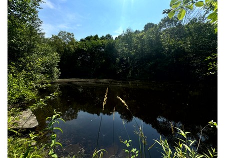 Salmon River NY building site