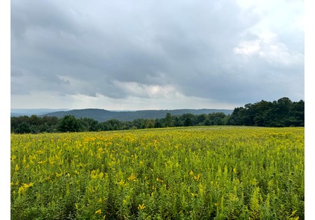 NY Finger Lakes property for sale