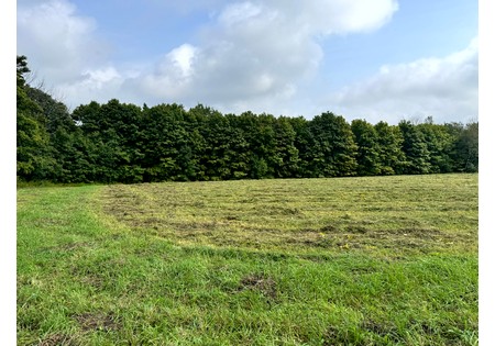 Land for sale Finger Lake area NY