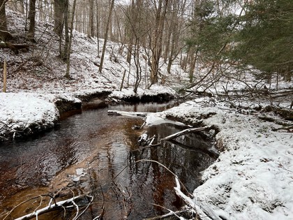 NY land for sale near Oneida Lake NY