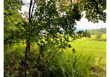 Finger Lakes area NY land for sale