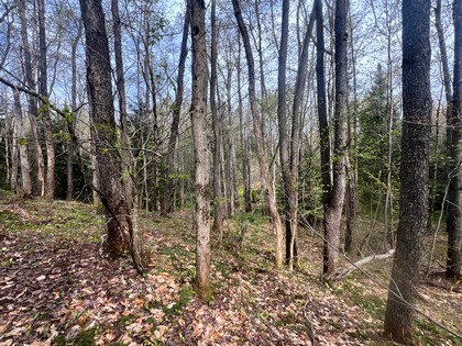 NY camps for sale