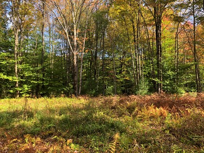 NY building lot for sale Constantia NY