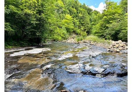 NY land for sale