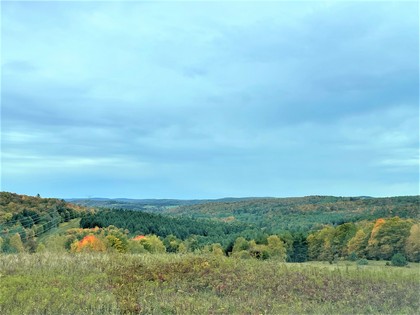 NY land for sale