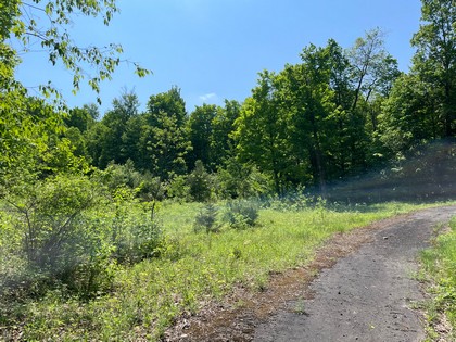 Adrondack hunting land for sale NY