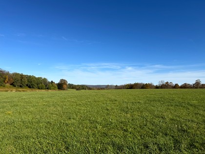 NY Southern tier NY hunting land for sale