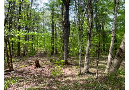 Land for sale NY