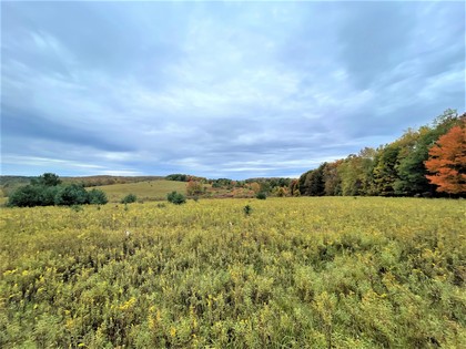 NY land for sale in Camden NY