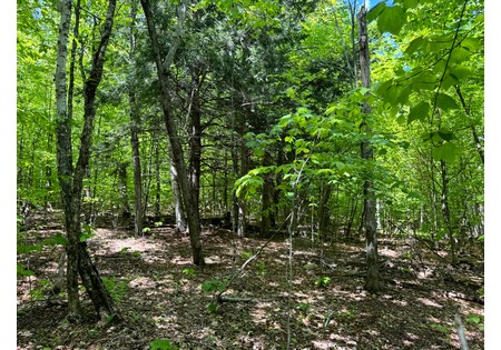 Adirondack land for sale