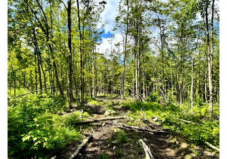 NY land for sale
