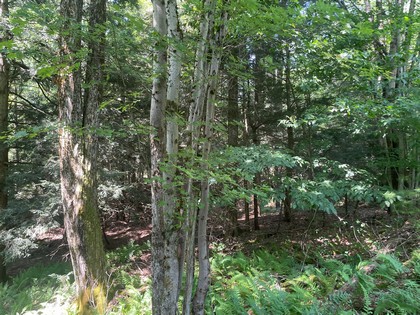 NY building lot land for sale