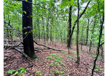 Finger Lakes NY land for sale