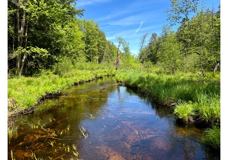 NY land for sale near Oneida Lake