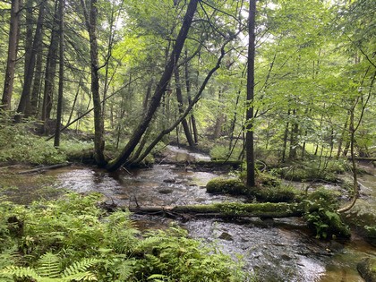 Adirondack camp for sale, cabins, land and camps, ny properties, ny camps sale, Adirondack camps for sale, christmas associates