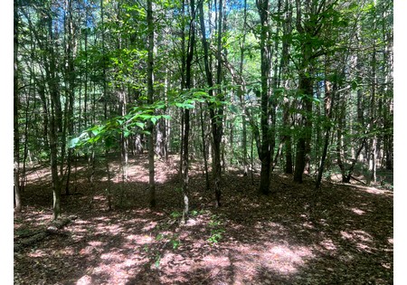NY hunting land for sale