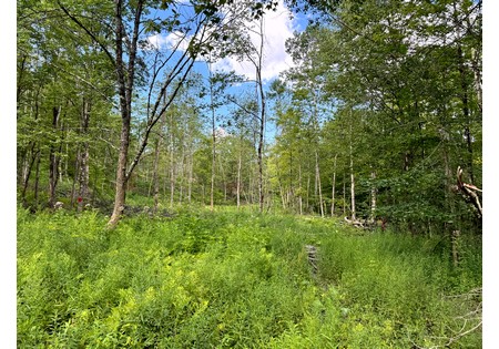 NY hunting land for sale