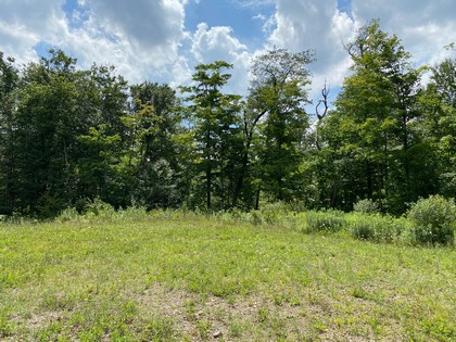 NY hunting land for sale in Redfield NY