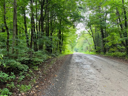 NY hunting camp for sale, hunting cabins, hunting land and camps, ny hunting properties, christmas associates
