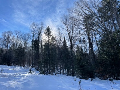 Adirondack land for sale