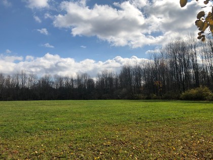 NY land for sale in Pharsalia NY