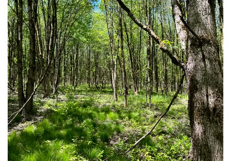 NY hunting land for sale